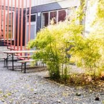 Hamici, Hayat Hayat Hamici